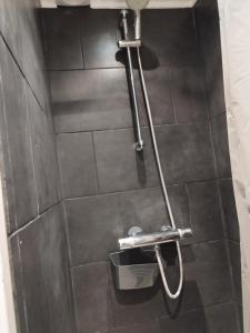 een badkamer met een douche en een metalen handdoekenrek bij Location court terme in Namen