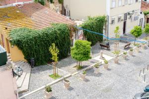 Um jardim em Sitio dos Cavaleiros Apartments