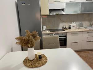 A kitchen or kitchenette at Kenza apartment