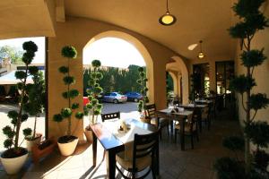 un restaurant avec des tables, des chaises et des plantes en pot dans l'établissement Pension Passion, à Târgu-Mureş