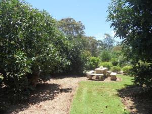 Um jardim em Moonya Avocado Farm Cottage - with early check-in