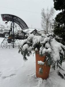 Το Koteg LEMBERG τον χειμώνα