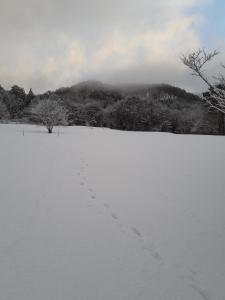 een besneeuwd veld met voetafdrukken in de sneeuw bij Tanehachi Farm Guesthouse - Vacation STAY 29709v in Aomori