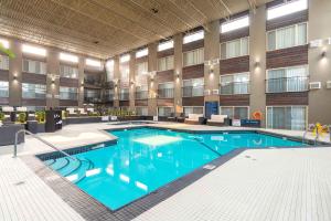 Swimmingpoolen hos eller tæt på Sandman Hotel Edmonton West