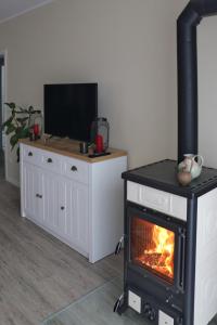 sala de estar con chimenea y TV en Apartment Am Mittelpunkt Deutschlands, en Niederdorla