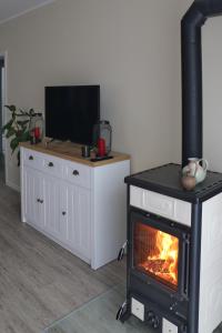 sala de estar con chimenea y TV en Apartment Am Mittelpunkt Deutschlands, en Niederdorla