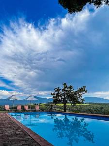 uma grande piscina azul com cadeiras e uma árvore em Far Hills Country Hotel em George