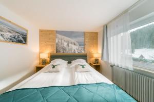 a bed in a room with a large window at Black Forest Dream Apartments in Feldberg