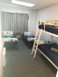 een kamer met 2 stapelbedden en een ladder bij Backpackers Central Hamilton in Hamilton