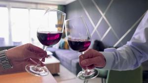 dos personas están sosteniendo copas de vino tinto en Gere ArteVino Apartman, en Villány