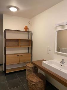 a bathroom with a sink and a mirror at Woning Oostende - Oosteroever in Ostend