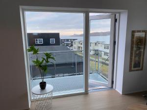 Cette chambre dispose d'une grande fenêtre avec une plante en pot. dans l'établissement Sóljustova, à Tórshavn