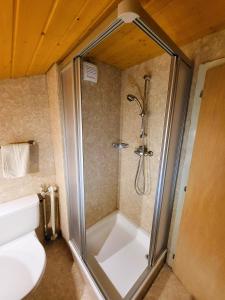 y baño con ducha, aseo y lavamanos. en Chalet Lilo 2 Zimmer top mountain view, en Beatenberg