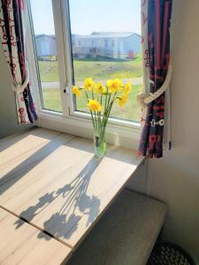 un jarrón de flores amarillas sentado en un alféizar de la ventana en Sea Break, Perran Sands, Perranporth, en Perranporth