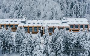 budynek pokryty śniegiem i pokryty śniegiem drzewami w obiekcie ski-in/ski-out apartment in Bakuriani w mieście Bakuriani