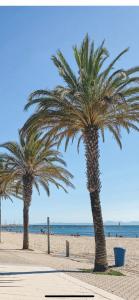 two palm trees on a beach near the ocean at STUDIO ROSES PLAGE in Roses