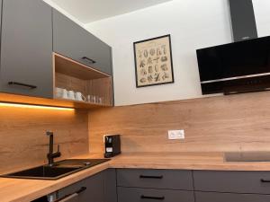 a kitchen with a sink and a counter top at Lake & Town Apartments Klagenfurt in Klagenfurt