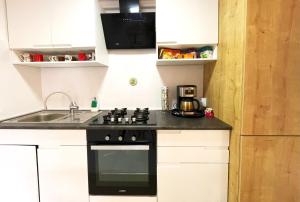 A kitchen or kitchenette at Apartament Alma