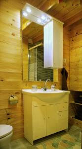 a bathroom with a sink and a toilet at Kadosa Jurta Apartman in Esztergom