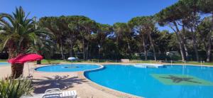 Piscina de la sau aproape de SMALL CAMP Baia Domizia KR VIP Full Service