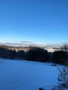 un champ recouvert de neige avec des buissons et un champ recouvert de neige dans l'établissement Roberts’ Cottage, à Westport