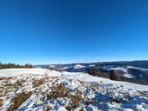 バッス・シュル・ル・リュプトにあるHotel Restaurant Du Haut Du Rocの雪山頂からの眺め