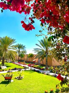 een park met een bank en palmbomen en bloemen bij The View in Al Ḩamrāʼ