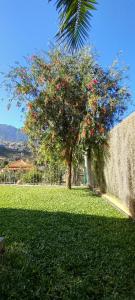 un arbre avec des fruits rouges dans une cour dans l'établissement Refúgio do Limoeiro, à São Vicente