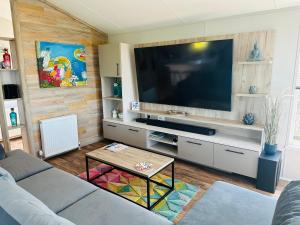 sala de estar con TV de pantalla plana grande en C-Scape Lodge, en Newquay