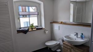 baño con lavabo y aseo y ventana en Ferienwohnung Angie, en Vogtsburg