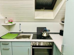 una piccola cucina con lavandino e piano cottura di Zentrale Ferienwohnung am Buhlschen Park in Deidesheim a Deidesheim