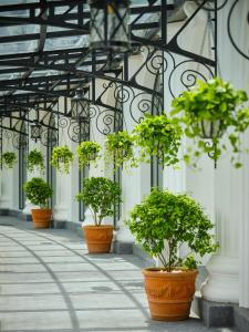 Um jardim em Silk Path Grand Hue Hotel