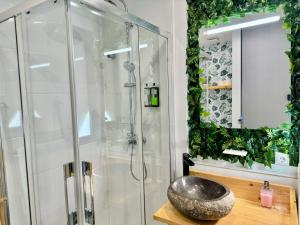 a bathroom with a shower with a stone sink at LOFT CENTRE SANTANDER in Santander