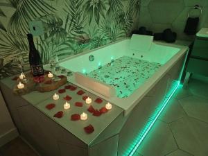 Ảnh trong thư viện ảnh của Suite romantique tropicale ở Vienne