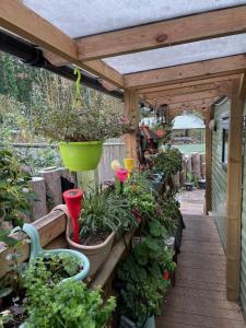 une pergola en bois avec un bouquet de plantes dans l'établissement Secluded Woodland Hideaway - 2 Bed with Private Parking, à Emsworth