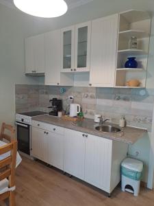 O bucătărie sau chicinetă la Lena apartment - Lena two bedroom apartment