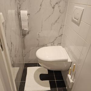 een badkamer met een wit toilet en een marmeren muur bij Il Mulino House A in Lisse