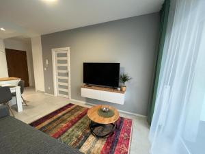 A television and/or entertainment centre at Apartament Zacisze 13