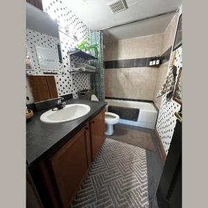 Baño pequeño con lavabo y aseo en 420 Friendly Downtown Loft KING suite FREE parking, en Detroit