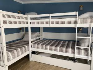 Dois beliches brancos num quarto azul em Loera’s Inn em Dumfries