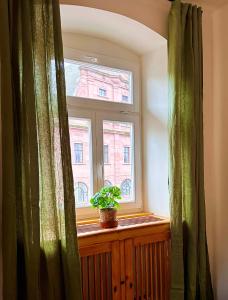 エットリンゲンにあるGrosse Wohnung in der Altstadt von Ettlingenの窓枠の鉢植え窓