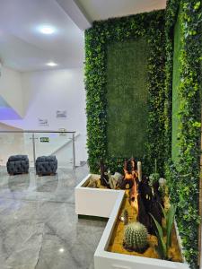 une chambre avec un mur vert orné d'un cactus dans l'établissement Hotel San Jeronimo Armenia, à Armenia