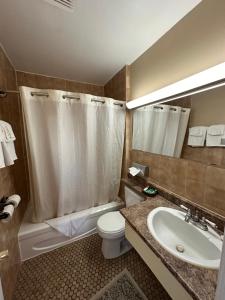 een badkamer met een toilet, een wastafel en een douche bij HOTEL CLASSIC COMFORT in Cornwall