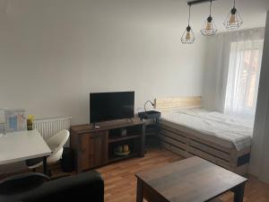 Televizors / izklaižu centrs naktsmītnē Apartmán Ivona 2