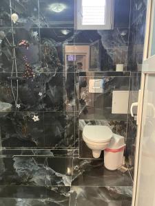 een badkamer met een toilet en een stenen muur bij CAMERE de INCHIRIAT LA TUGUIATA in Buşteni