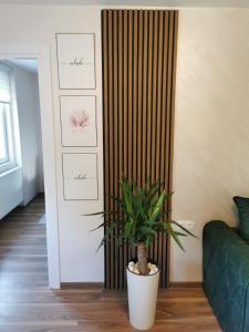 a plant in a white pot in a living room at Apartman Bonsai in Subotica