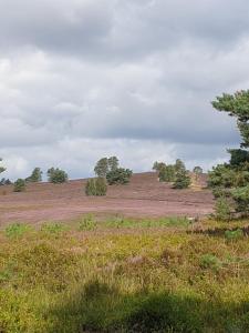 um campo aberto com árvores no horizonte em likehome Suite em Buchholz in der Nordheide