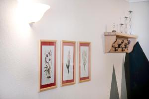 four framed drawings of flowers on a wall at Residence Larice Bianco App n3 in Campodolcino