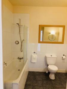 a bathroom with a toilet and a tub and a sink at The Coach and Horses in Winchester