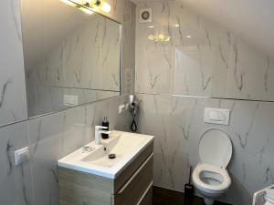 a bathroom with a sink and a toilet and a mirror at Casa Avram in Suceviţa